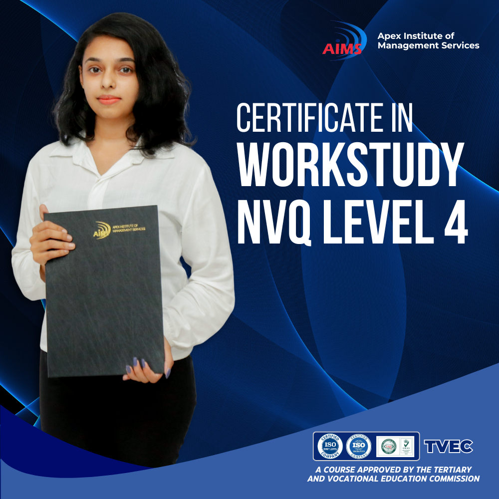 Workstudy NVQ Level 4